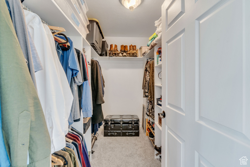 Walk in closet with carpet floors