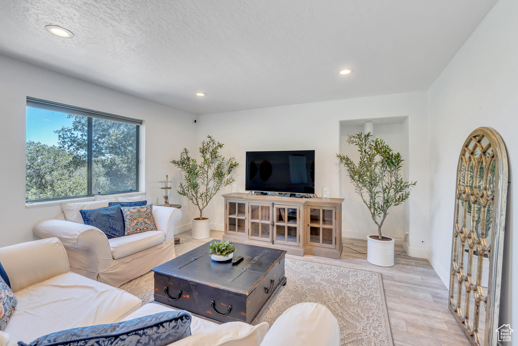 Living room featuring light hardwood / wood-style floors