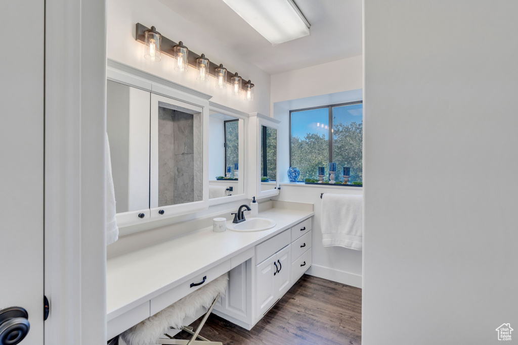 Bathroom with hardwood / wood-style flooring and vanity