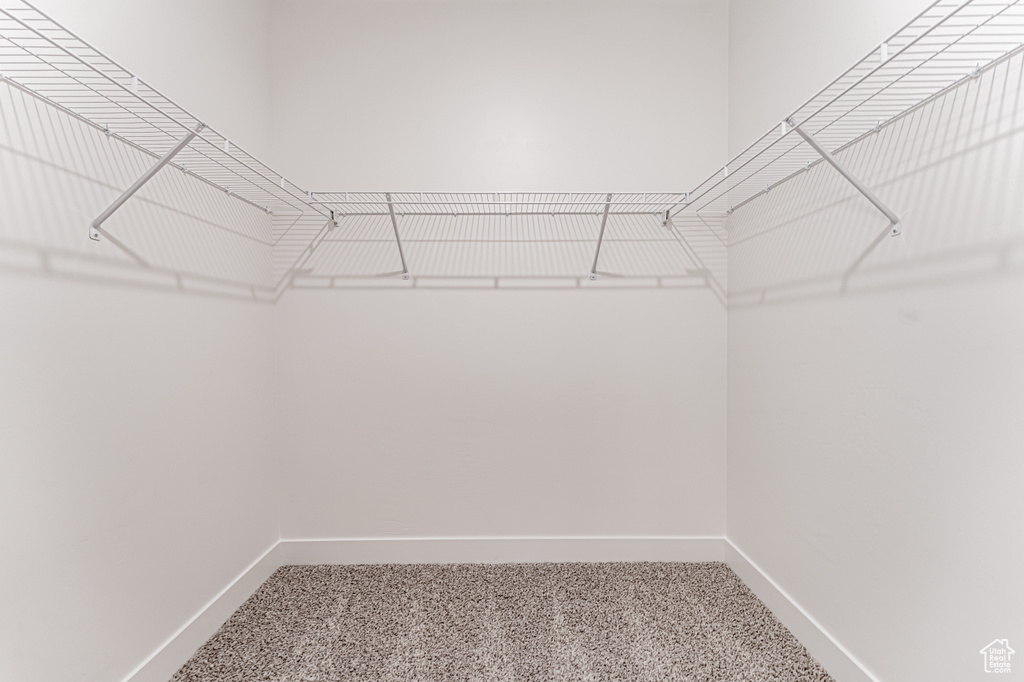 Spacious closet with carpet