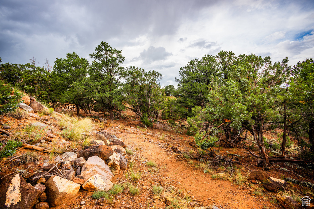 View of landscape