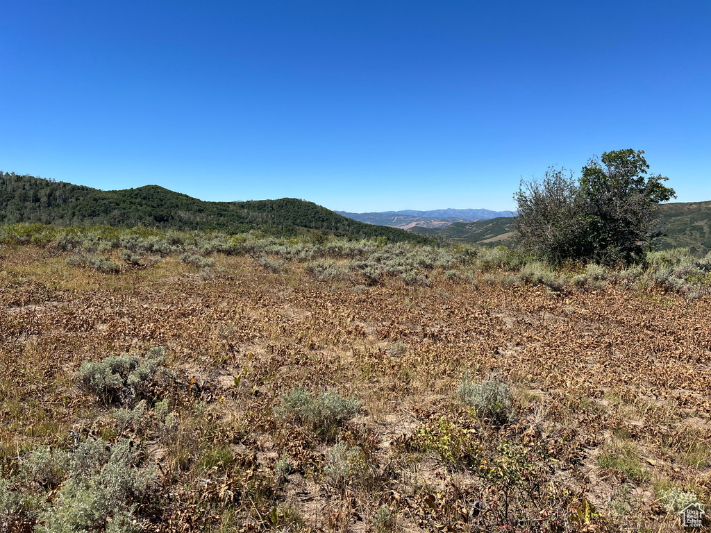 Property view of mountains