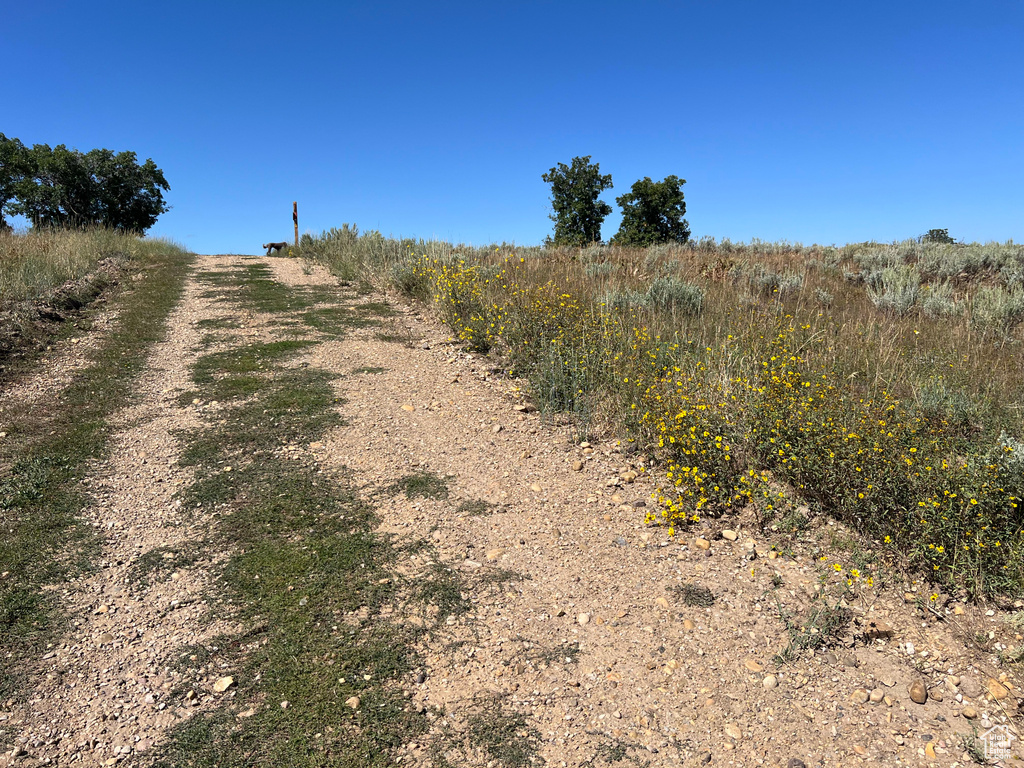 View of street with a rural view