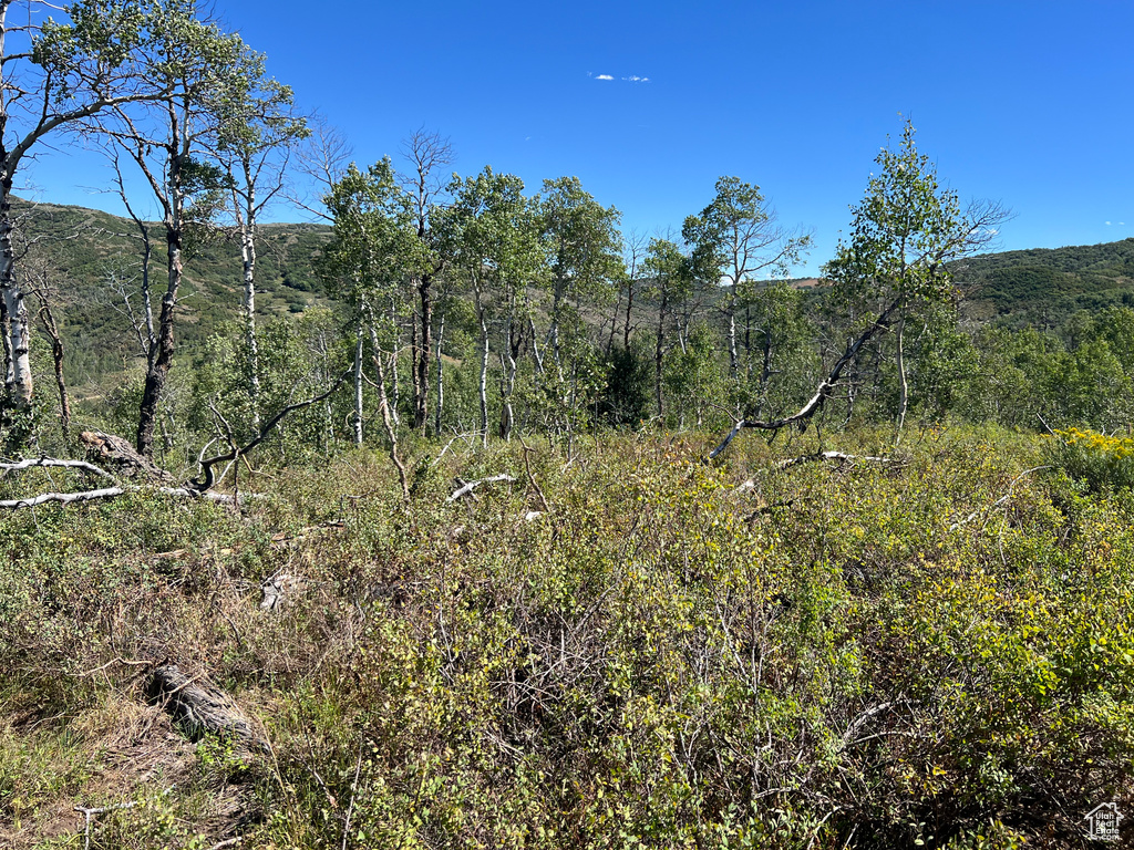 View of mountain feature