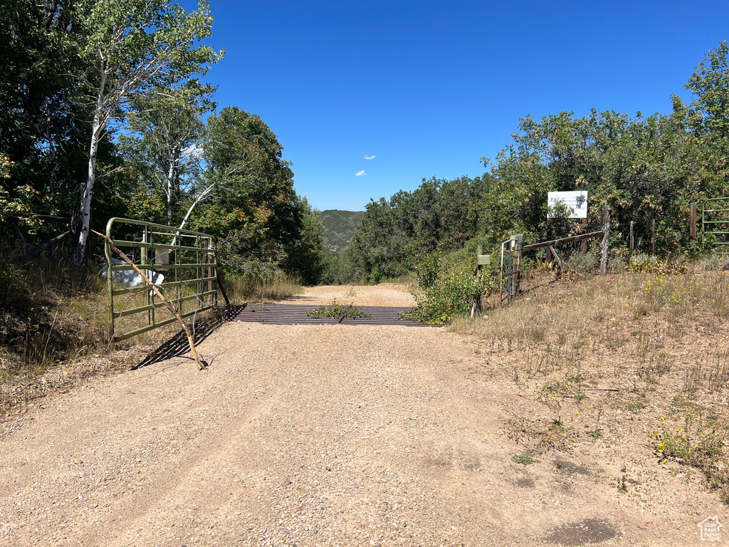 View of road