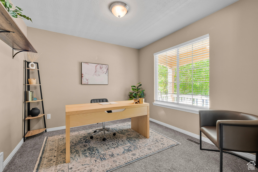 View of carpeted office space