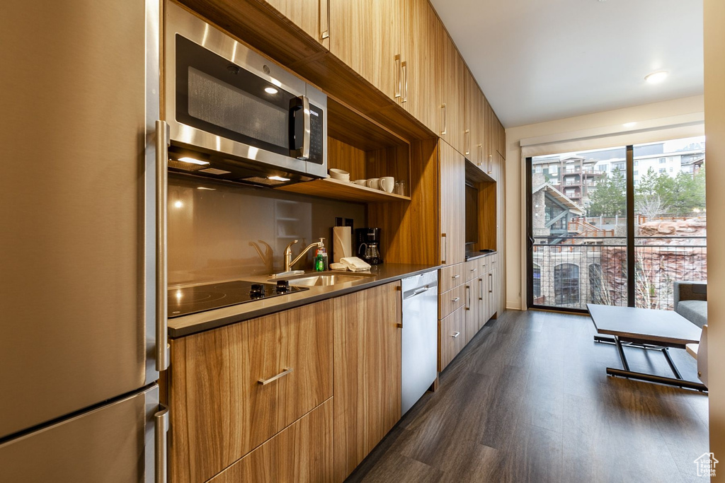 Kitchen featuring sink, stainless steel appliances, and dark wood-type flooring