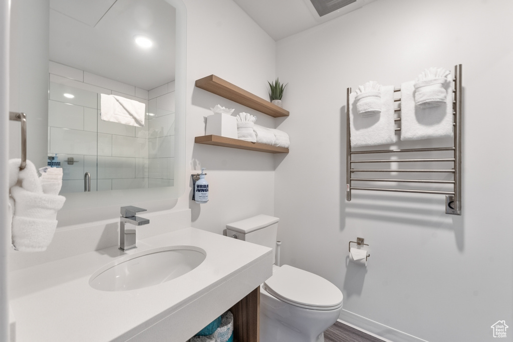 Bathroom with toilet, an enclosed shower, radiator heating unit, and vanity