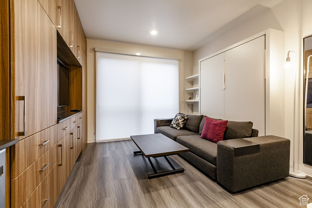 Living room featuring wood-type flooring