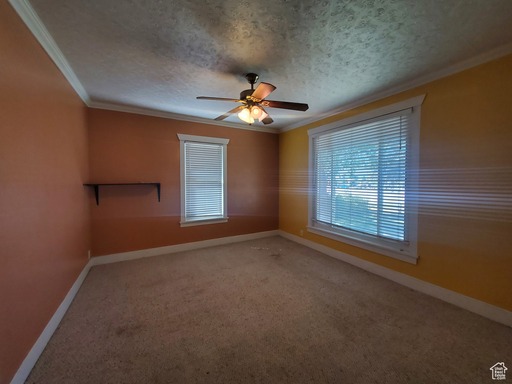 Carpeted empty room featuring a textured ceiling, ceiling fan, and crown molding