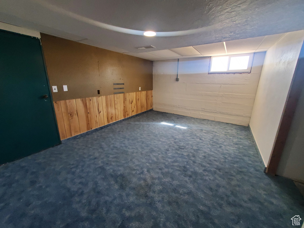 Basement with dark colored carpet