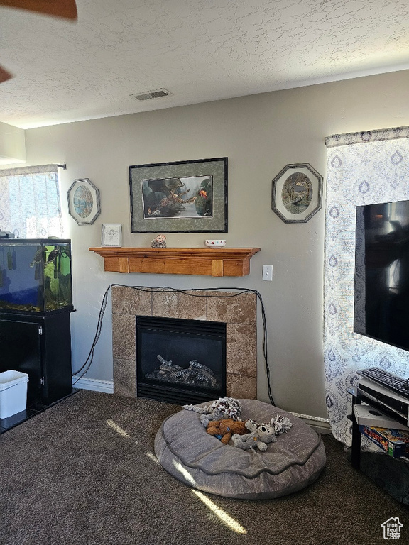 Carpeted living room with a fireplace and a textured ceiling