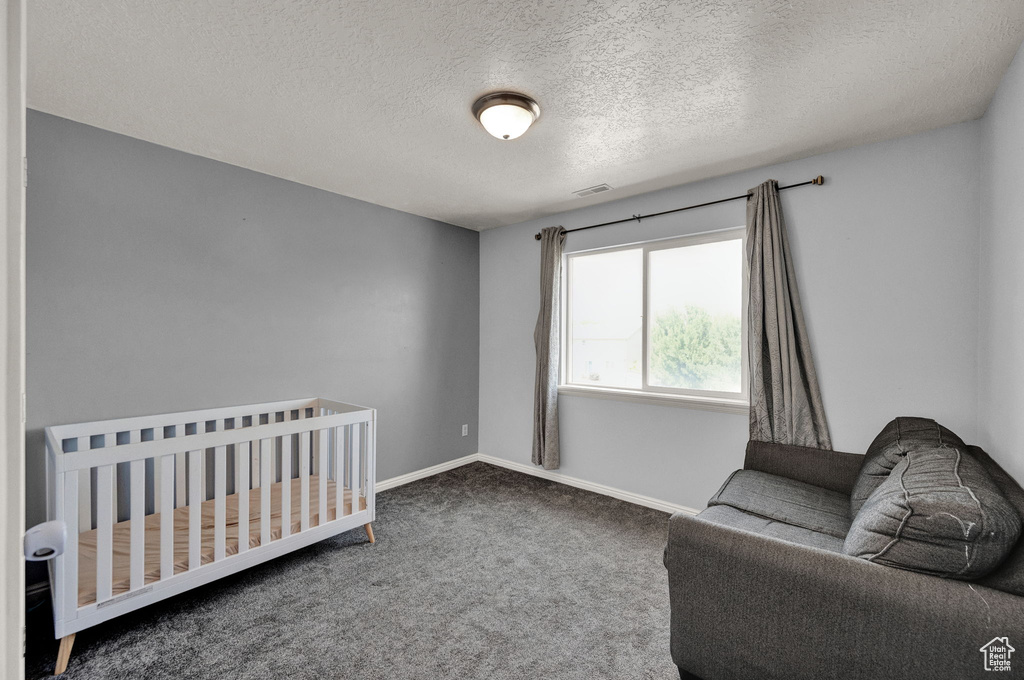 Carpeted bedroom with a textured ceiling and a nursery area