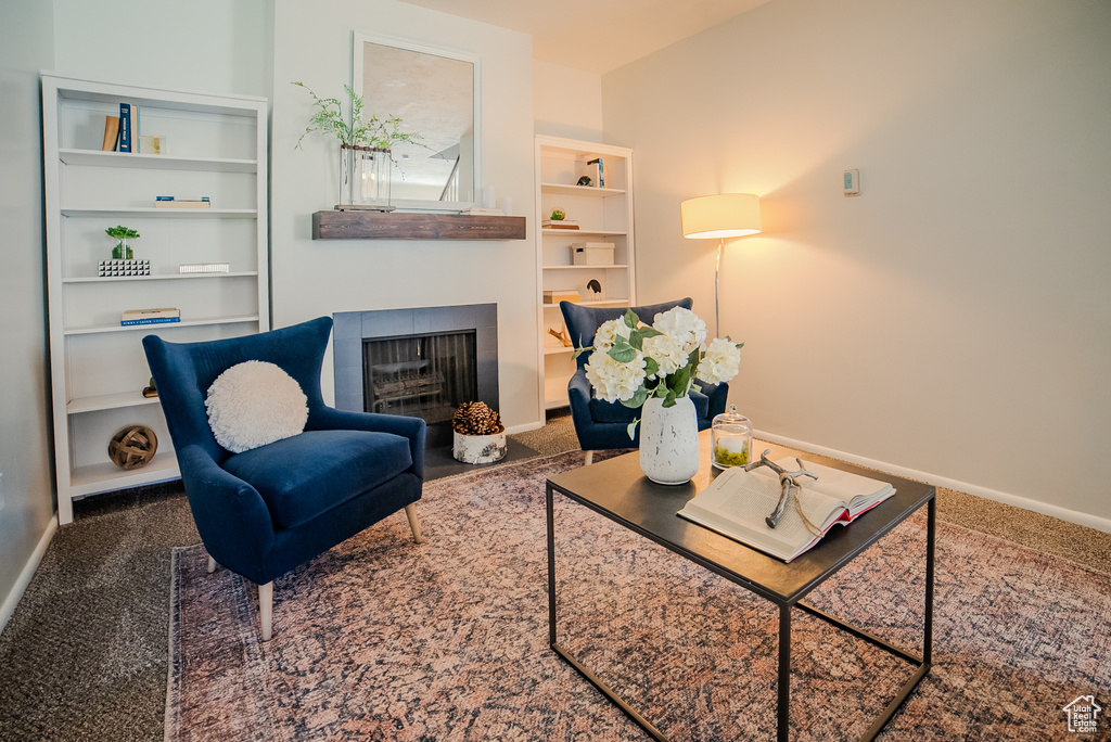 Sitting room with carpet and a fireplace