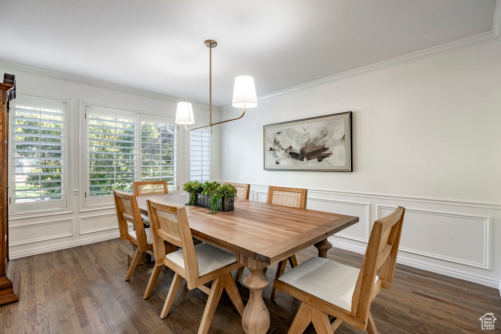 Dining room featuring dark hardwood / wood-style floors and ornamental molding