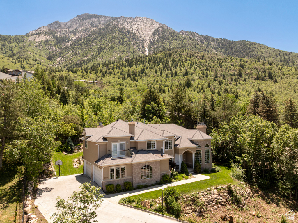 View of mountain background featuring a heavily wooded area