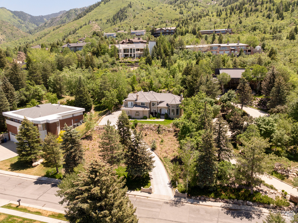 Drone / aerial view of a forest and a mountainous background