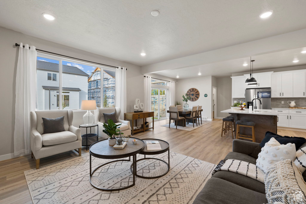 Living room with light wood-type flooring and sink