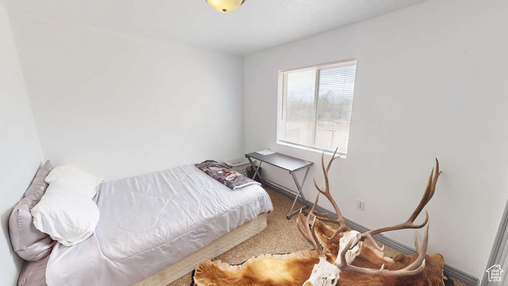 Bedroom with carpet flooring