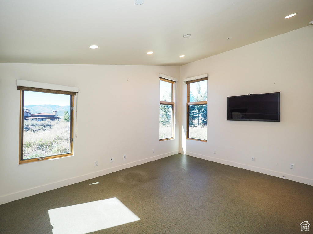 Spare room with lofted ceiling