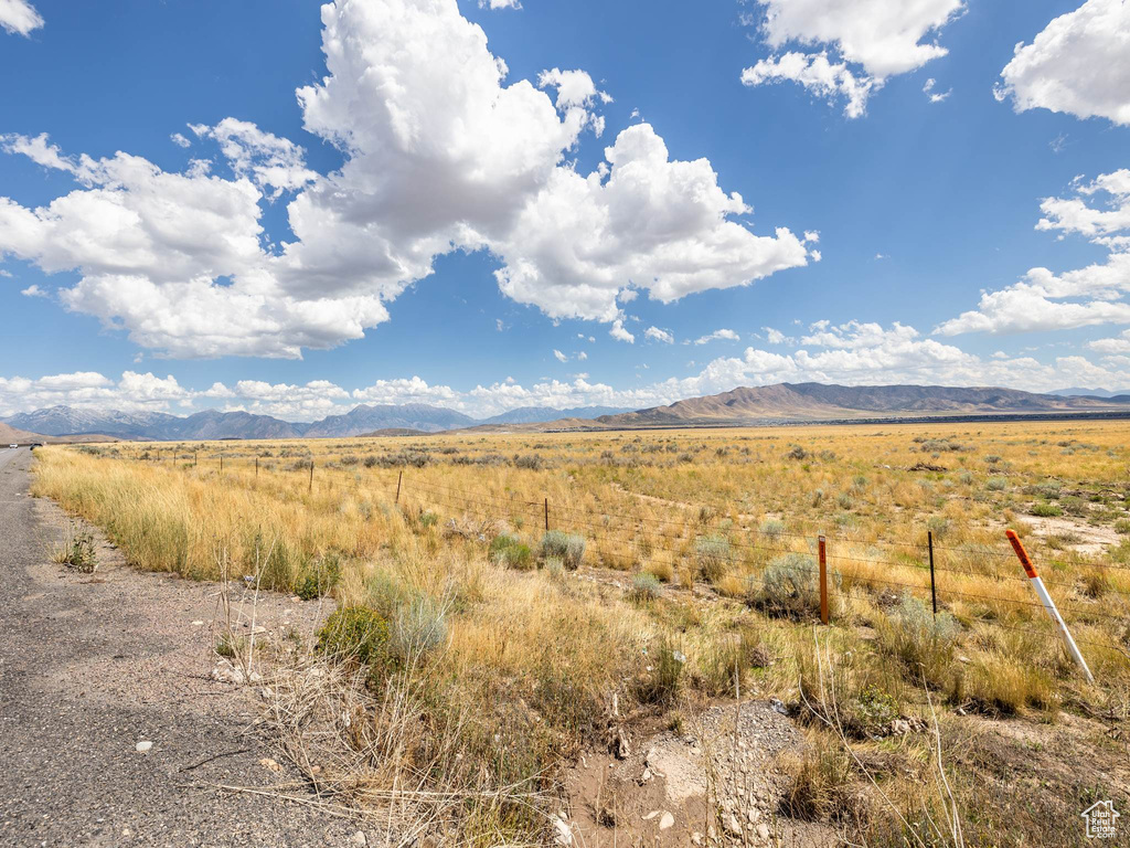 View of local wilderness featuring a mountain view