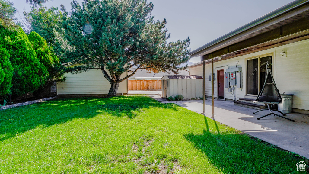 View of yard featuring a patio