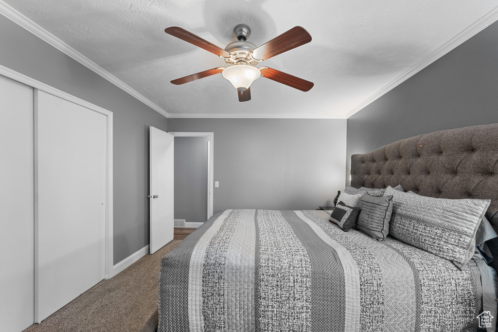 6104 W PATTI DRIVE West Valley City, UT 84128