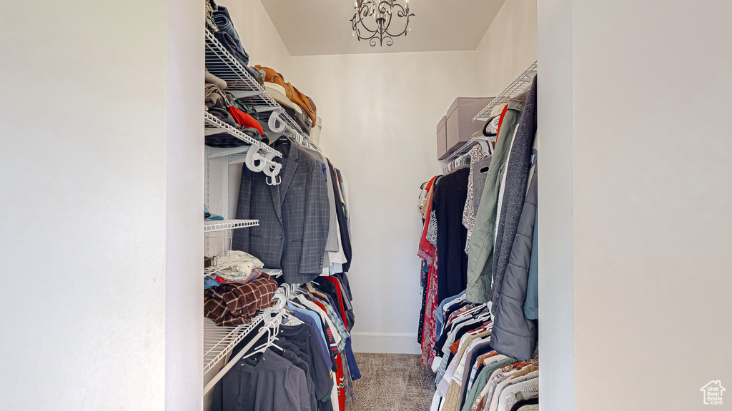 Spacious closet featuring carpet floors