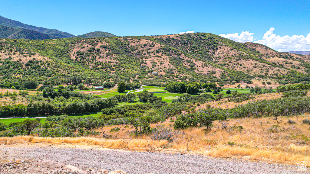 Property view of mountains