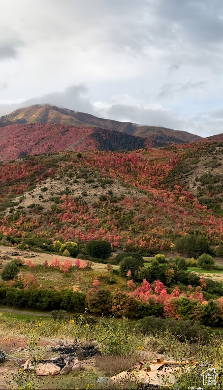 View of mountain feature