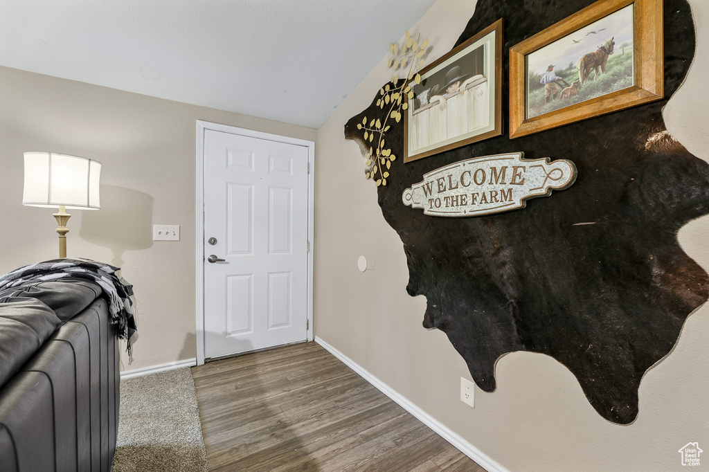 Entrance foyer featuring wood-type flooring