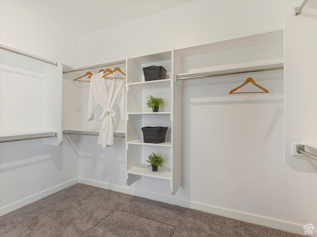 Spacious closet with carpet floors