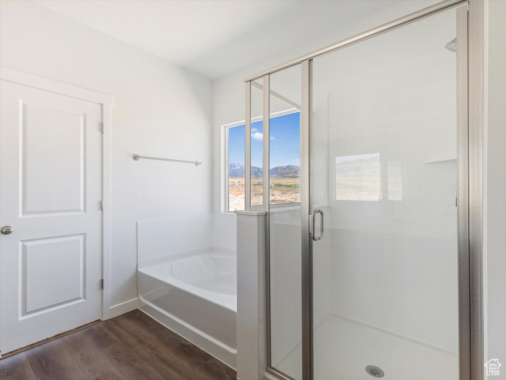 Bathroom with plus walk in shower and wood-type flooring