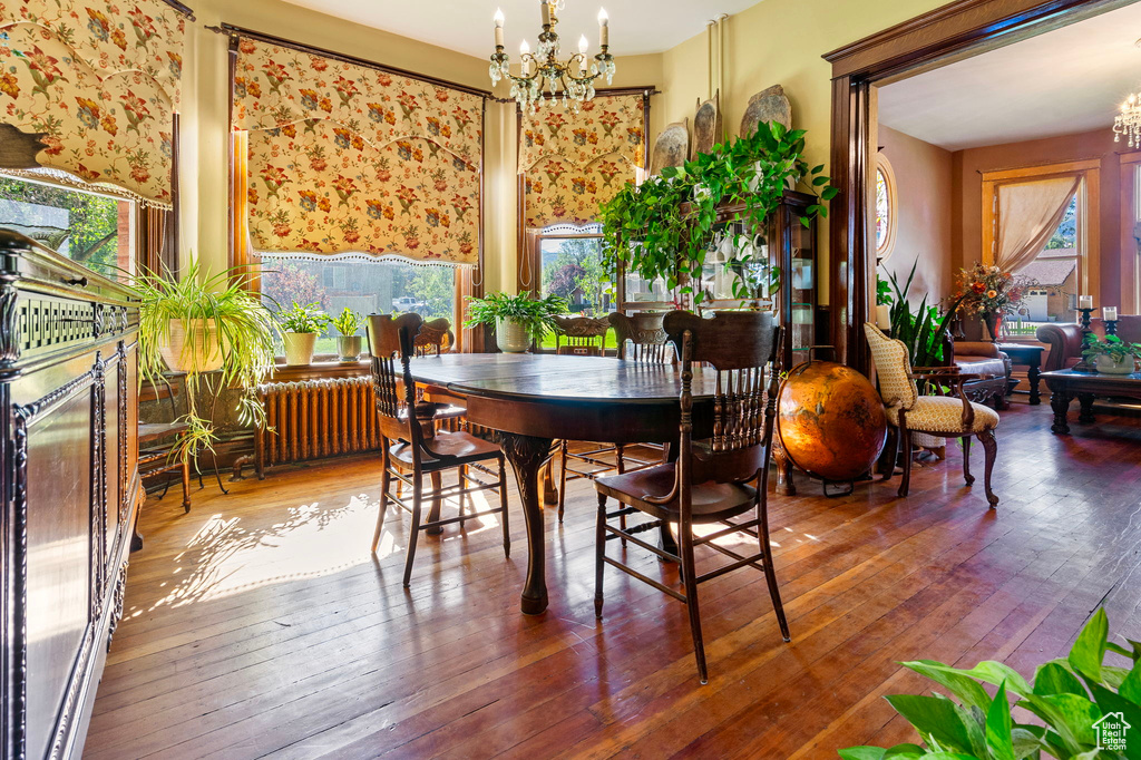 Dining area featuring an inviting chandelier, radiator, and wood-type flooring