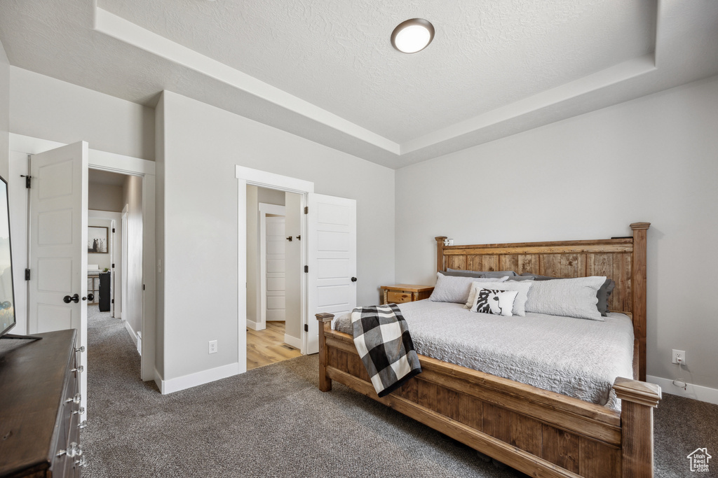 Carpeted bedroom featuring a raised ceiling