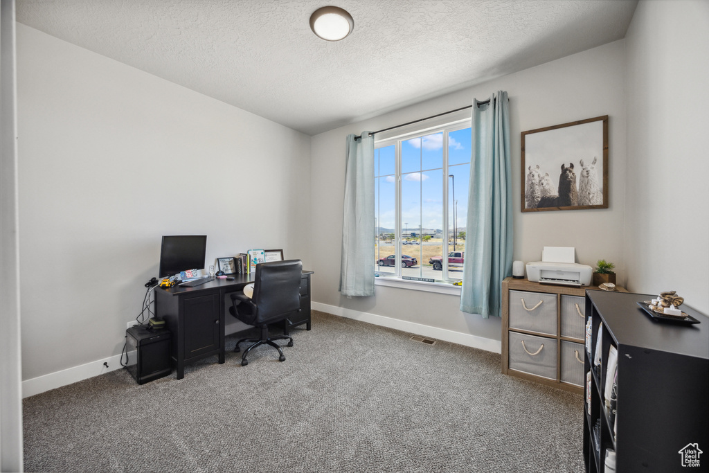Office space with a textured ceiling and carpet floors