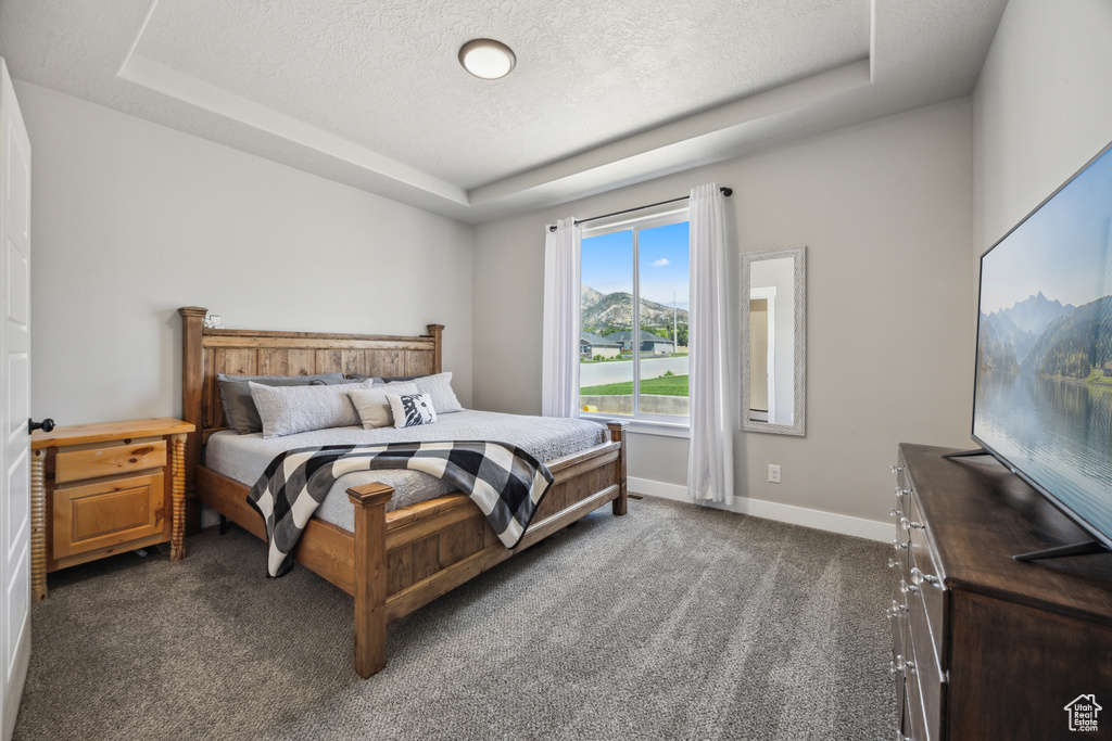 Carpeted bedroom featuring a textured ceiling and a tray ceiling