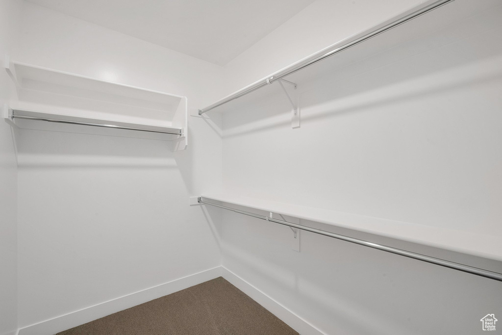 Spacious closet with carpet floors