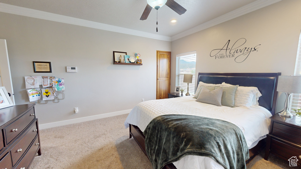 Carpeted bedroom with ceiling fan and crown molding