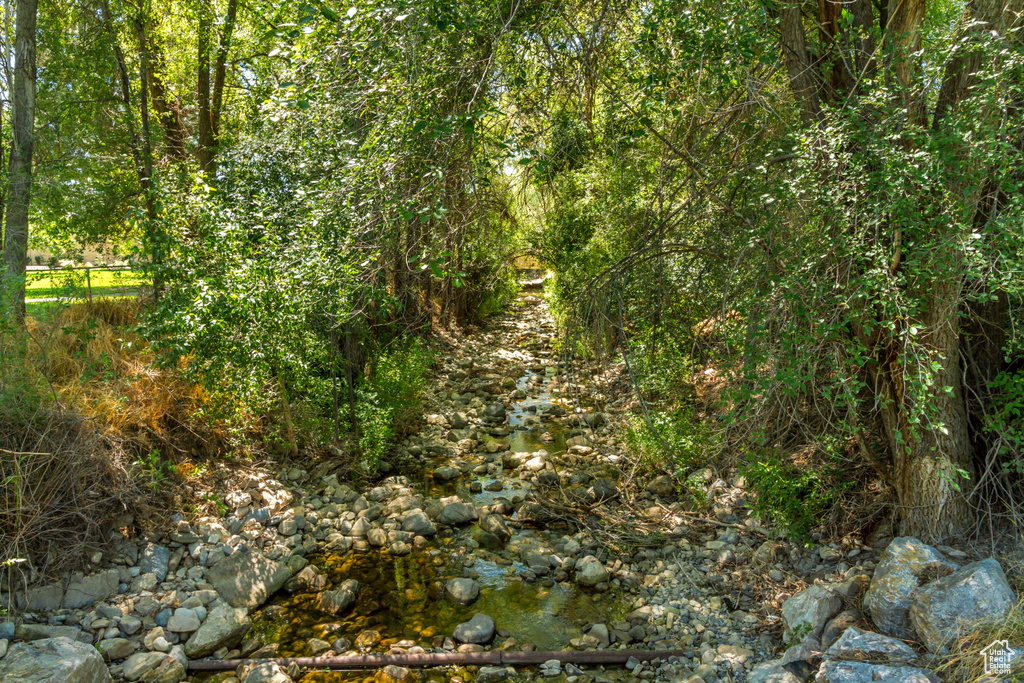 View of local wilderness featuring a water view