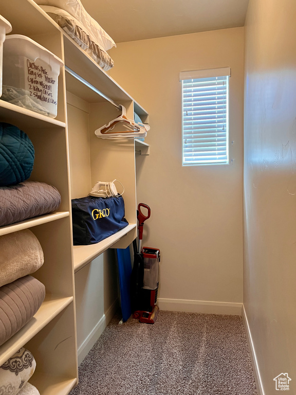 Spacious closet featuring carpet flooring