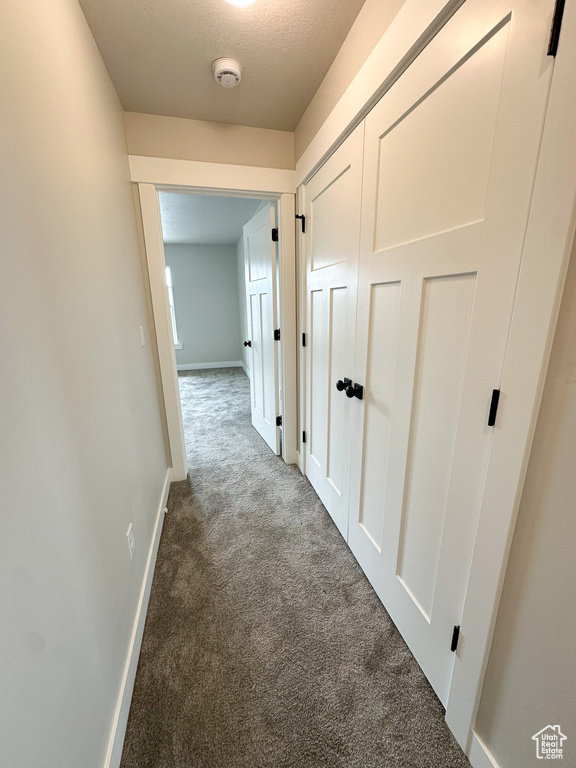 Photo 47 for MLS #2019370 at 626 W Cottle Ln