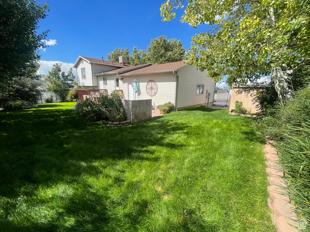 View of yard
