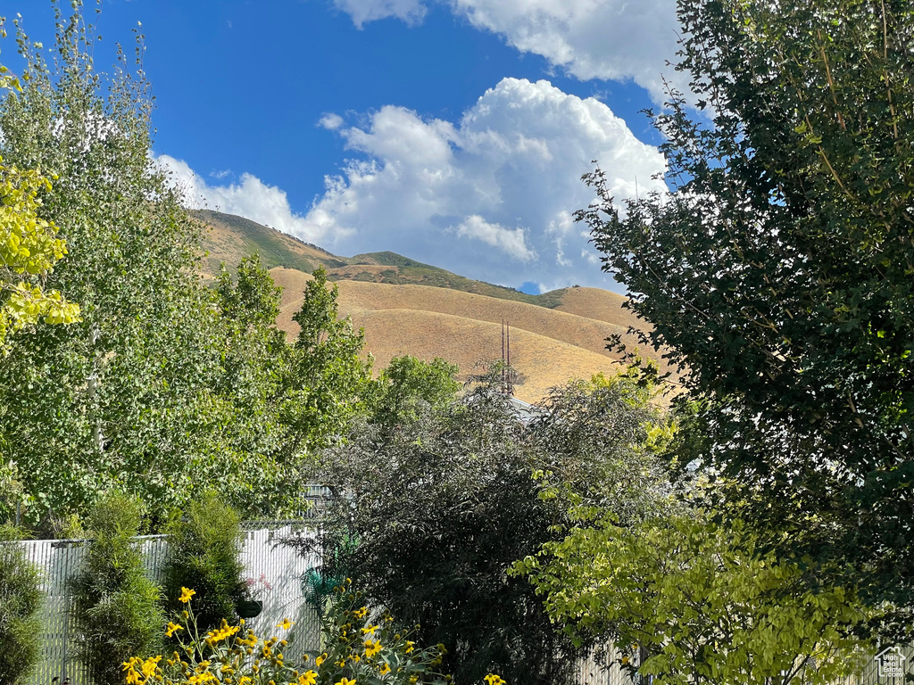 Mountain view