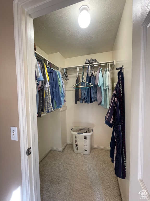 Spacious closet featuring carpet