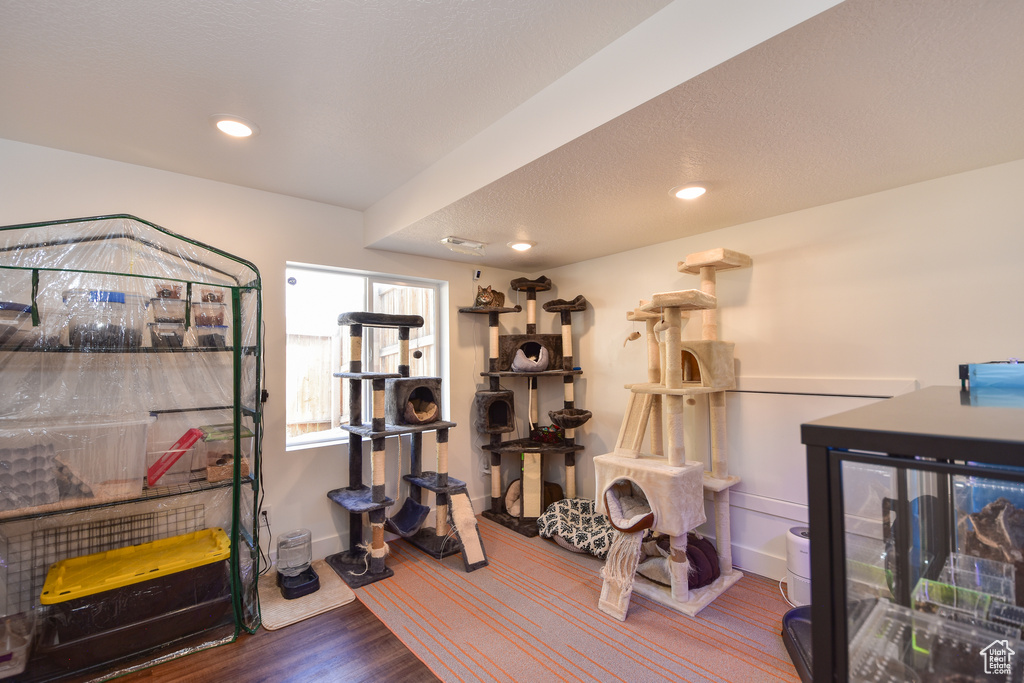 Exercise room with wood-type flooring