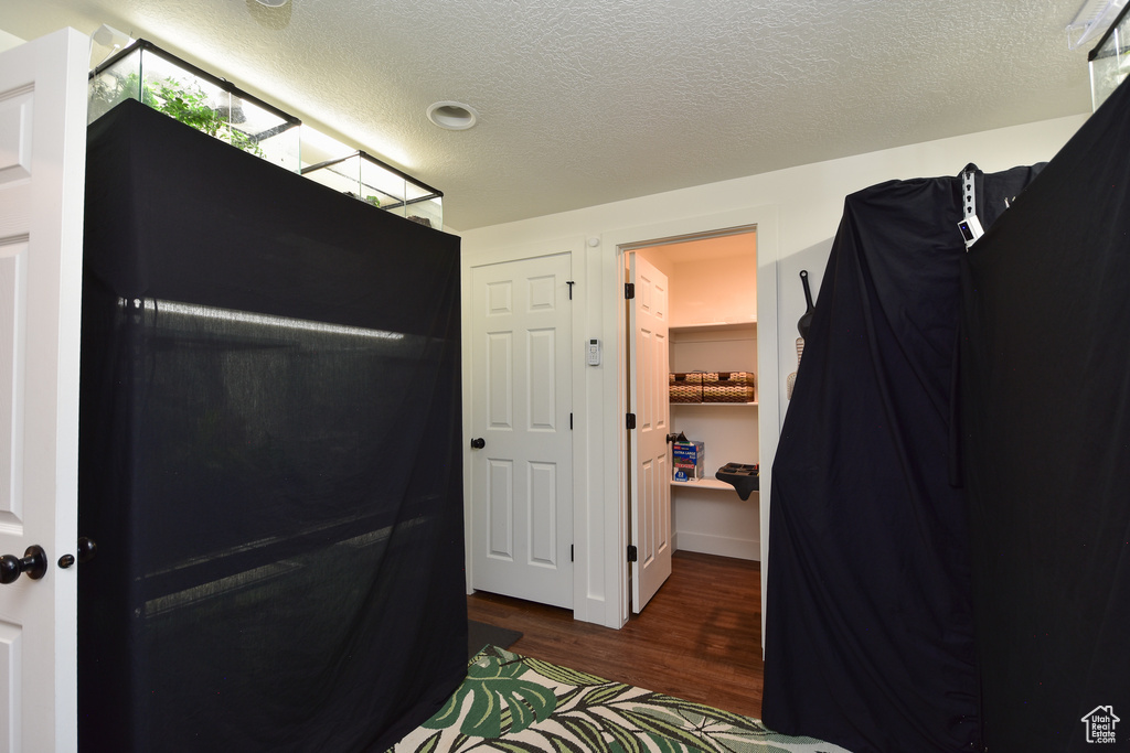 Bedroom with a spacious closet, a closet, a textured ceiling, and dark wood-type flooring