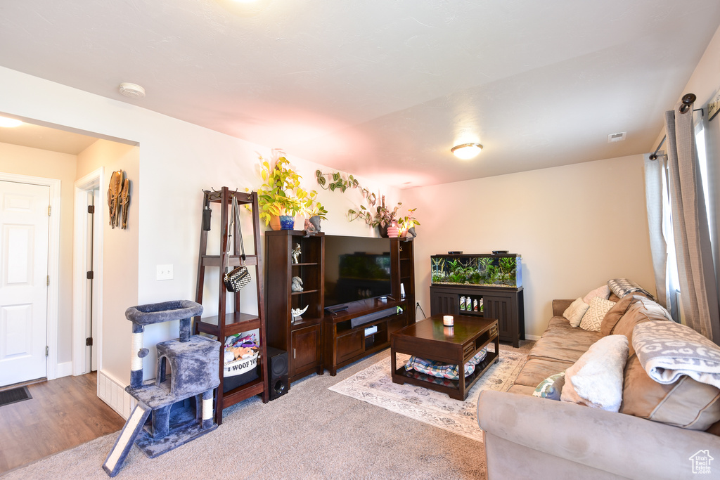 Living room featuring light hardwood / wood-style flooring