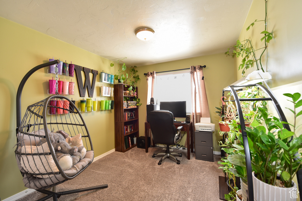 Office area with carpet floors