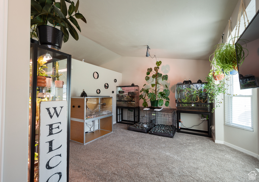 Miscellaneous room with carpet floors and lofted ceiling